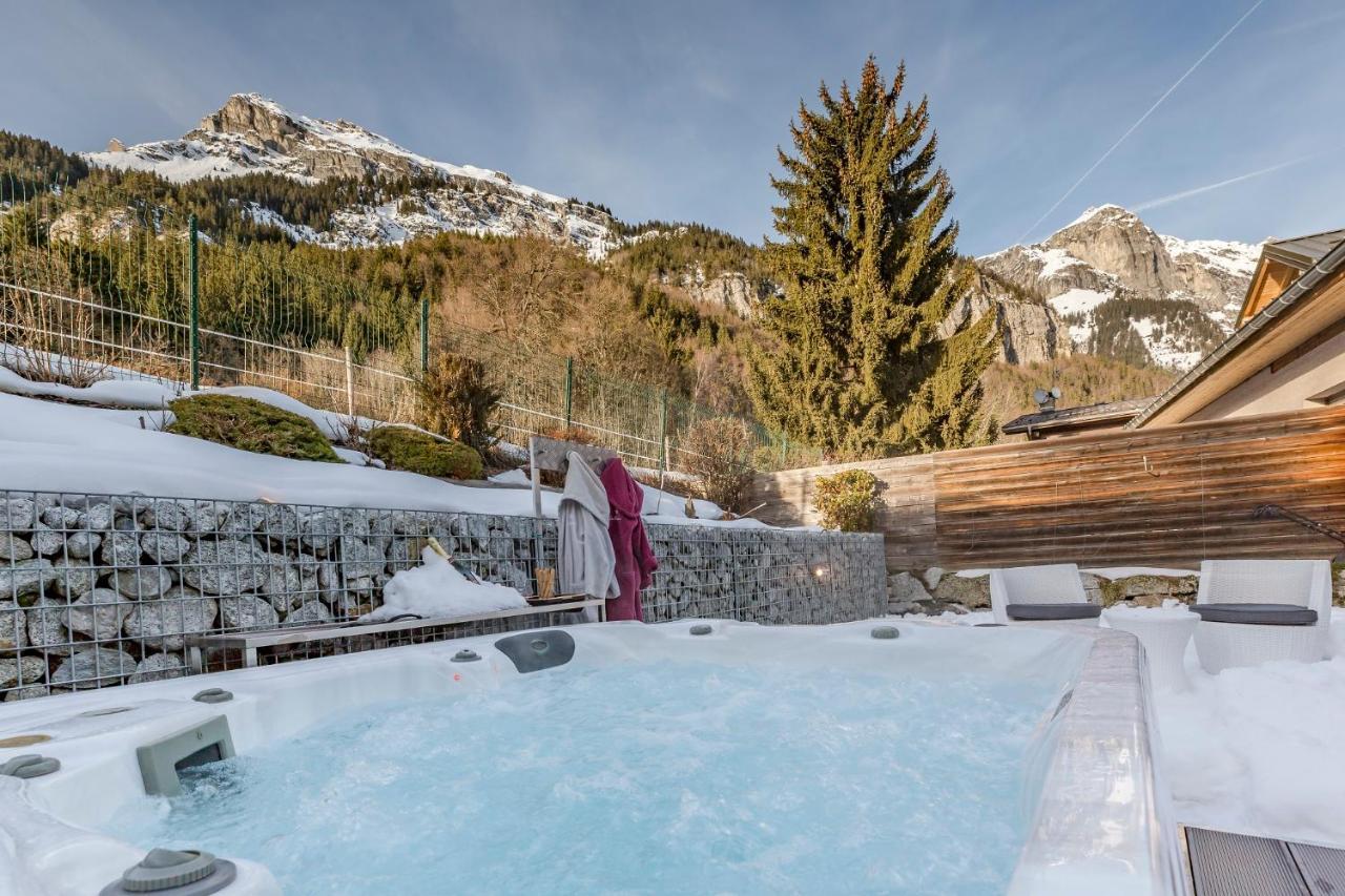 Les Edelweiss Mont-Blanc - Gite Classe 3 Etoiles Passy  Exteriér fotografie