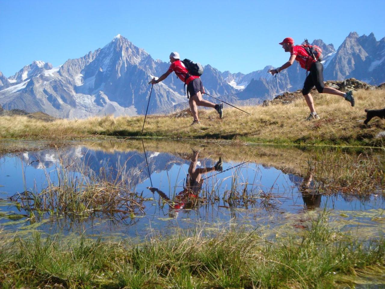 Les Edelweiss Mont-Blanc - Gite Classe 3 Etoiles Passy  Exteriér fotografie